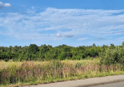 działka na sprzedaż - Poczesna, Wrzosowa