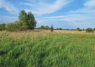 działka na sprzedaż - Częstochowa, Błeszno