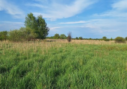 działka na sprzedaż - Częstochowa, Błeszno