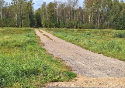 działka na sprzedaż - Kruszyna, Teklinów